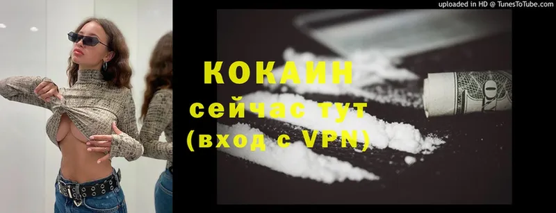 купить   Анива  mega вход  Cocaine Fish Scale 